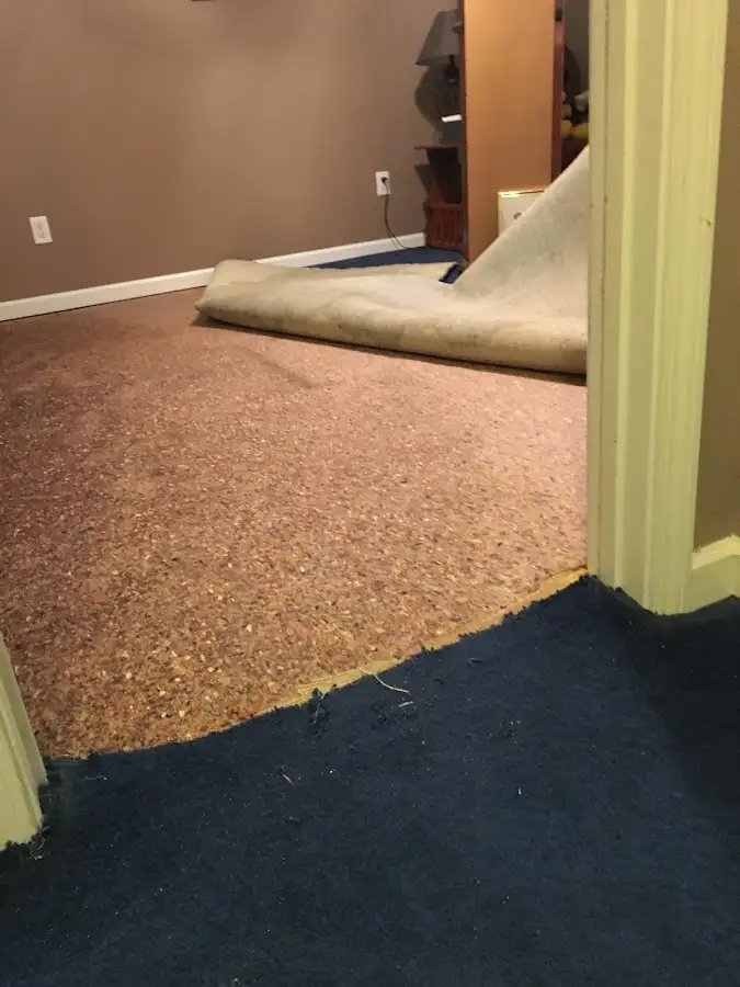 Carpet pad removal revealing water damage during Water Mitigation Services in Sweetwater