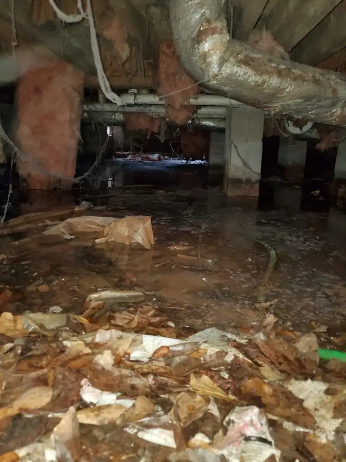 Crawl space flood assessment for Leak Detection & Repair in Sweetwater